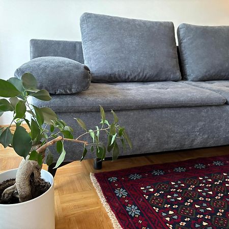 Ljubljanica Apartment 卢布尔雅那 外观 照片