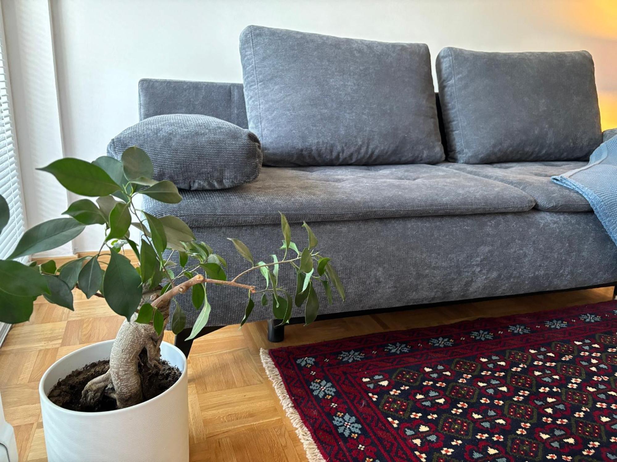 Ljubljanica Apartment 卢布尔雅那 外观 照片