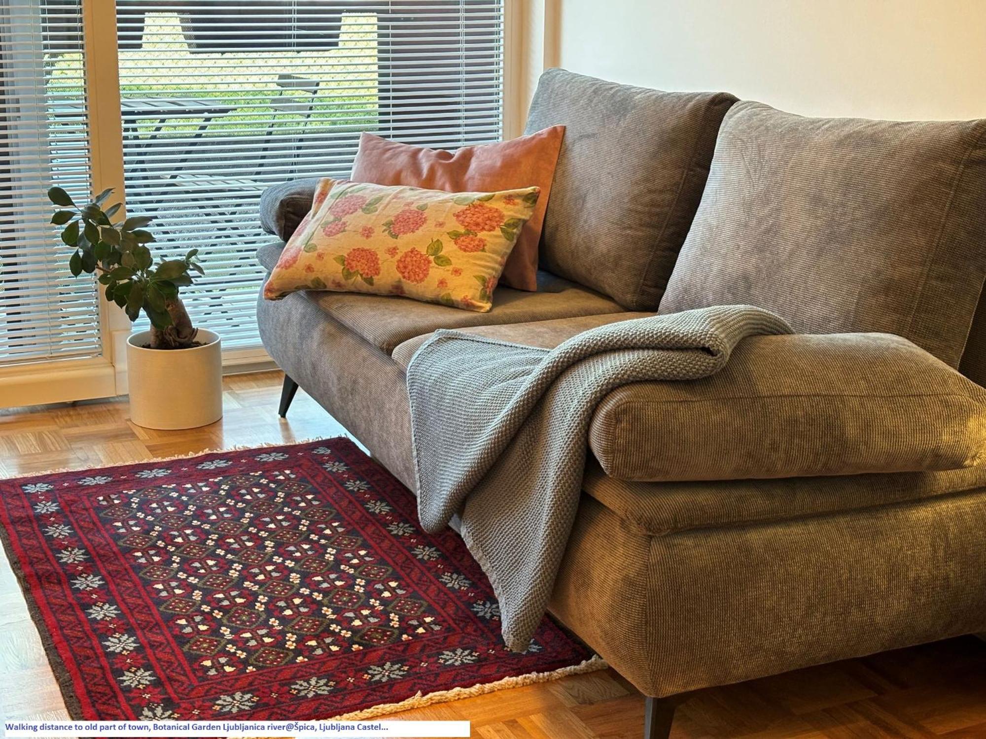Ljubljanica Apartment 卢布尔雅那 外观 照片